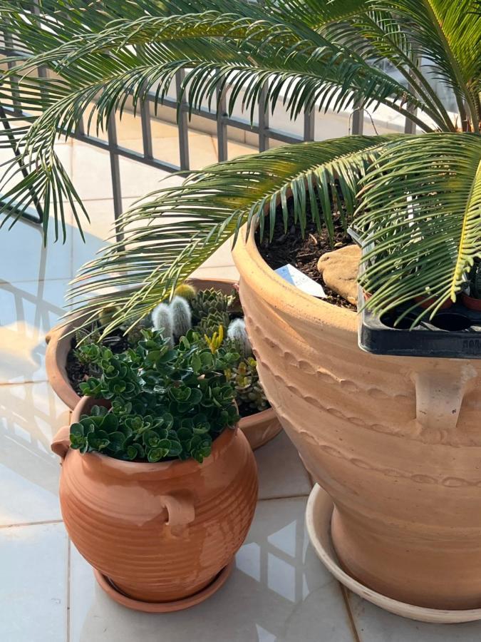 Magical Seaside Town Boutique Apts 2 Kyparissia Buitenkant foto